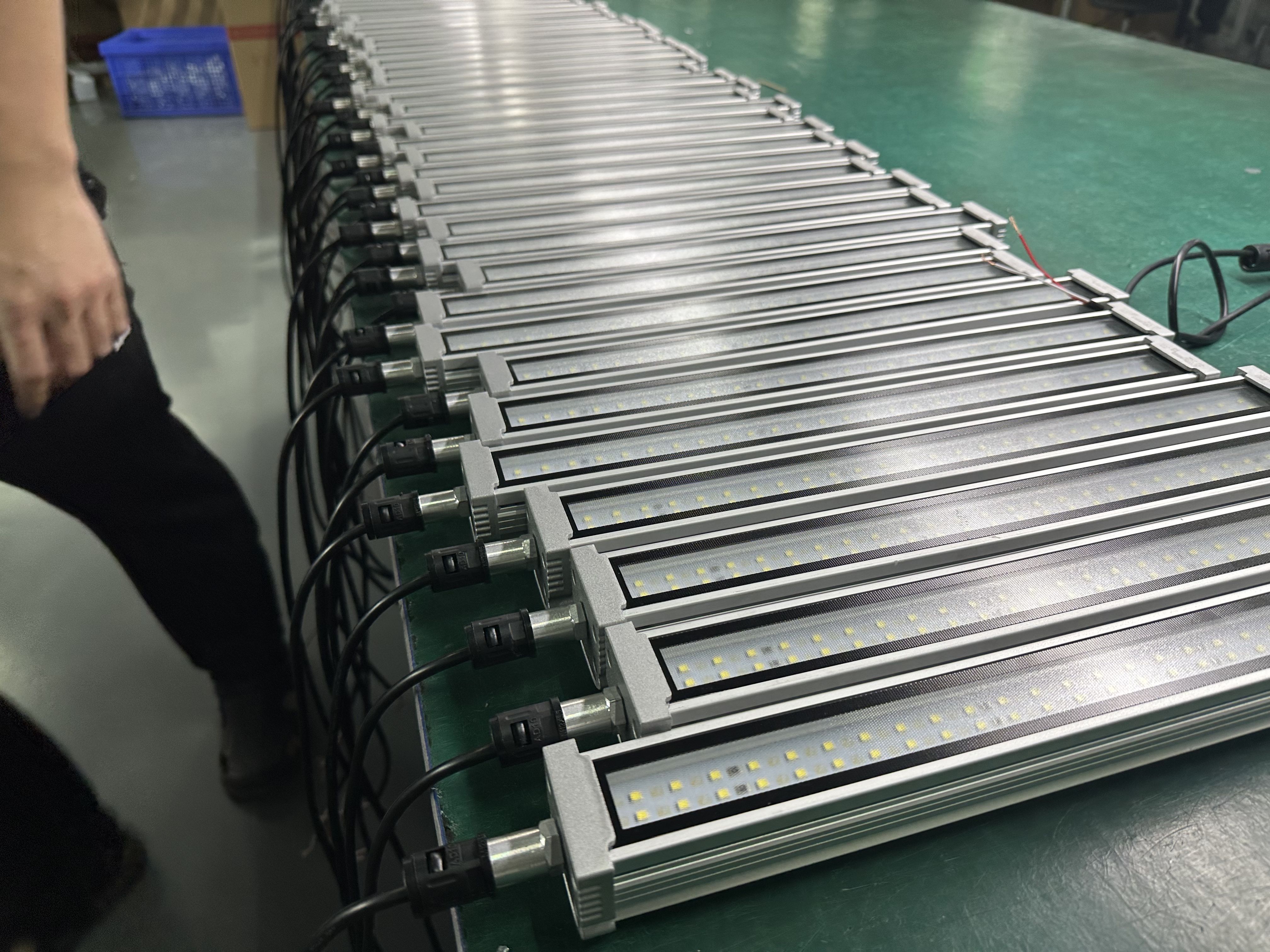 2025_01_02_14_44_IMG_6409(1).jpg 2025_01_02_14_44_IMG_6409(1).jpg